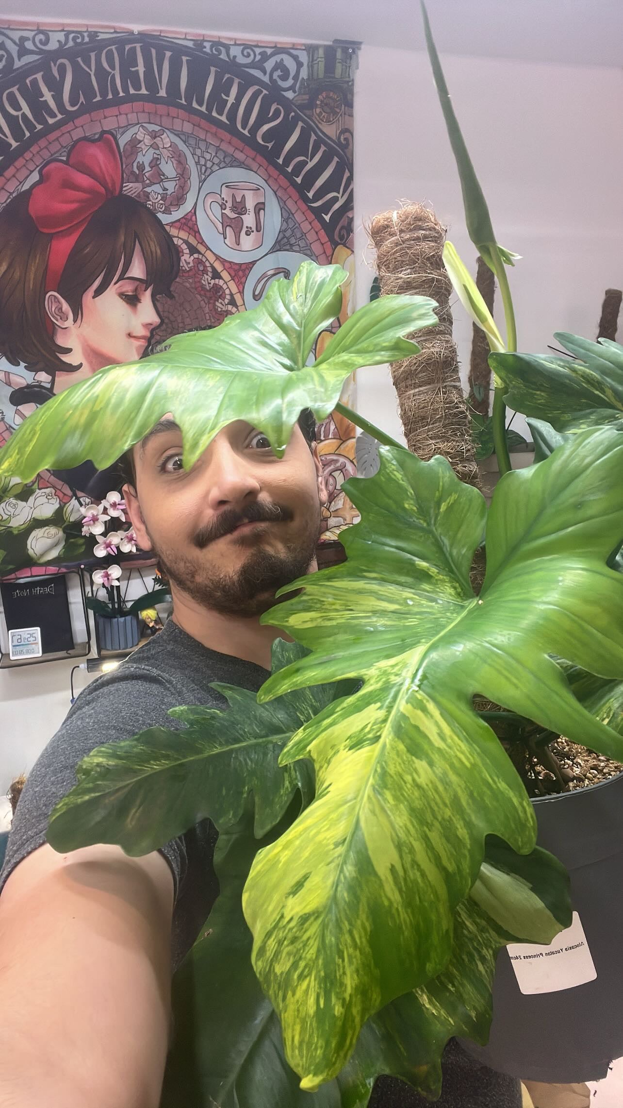 Coaching plantes visio