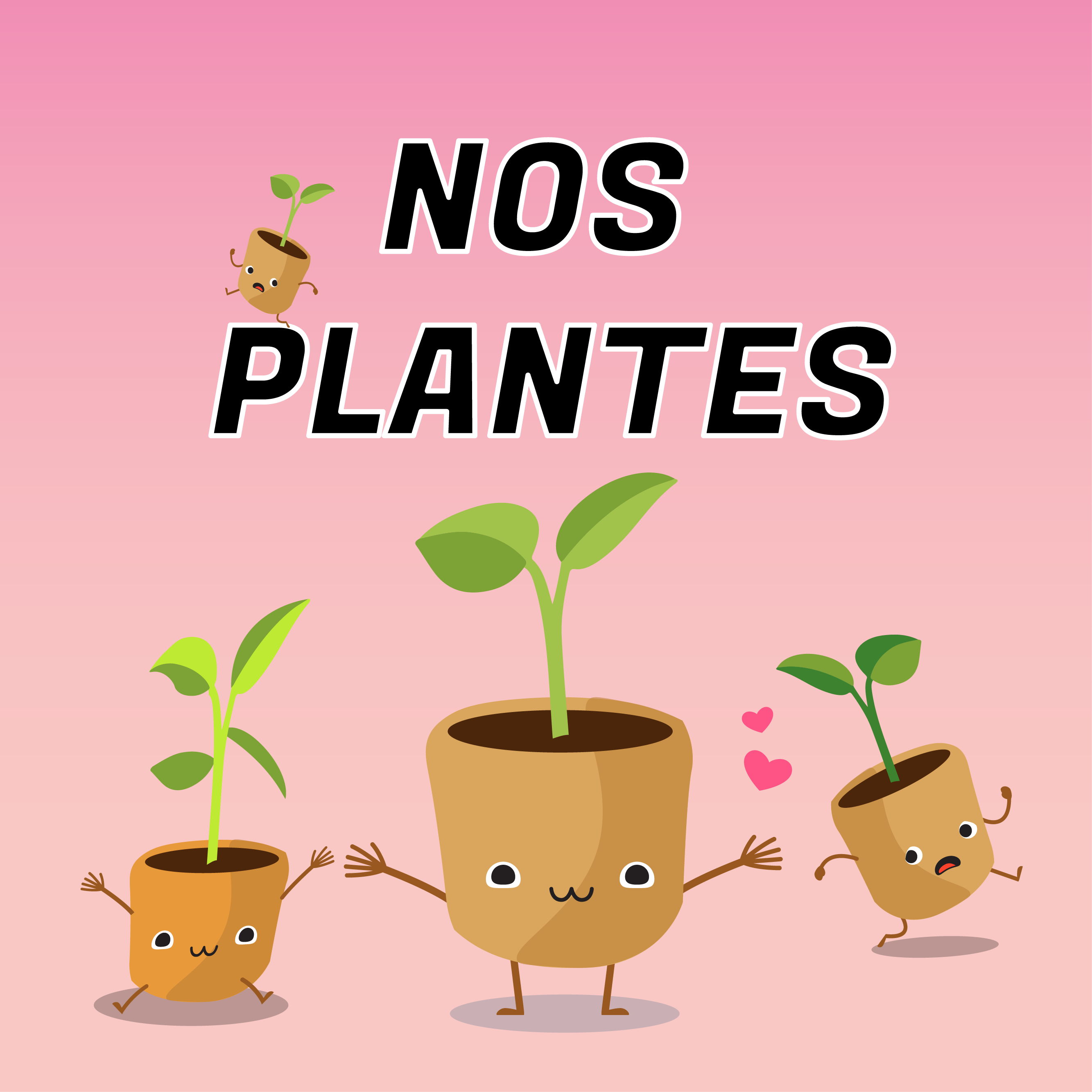 Plantes :