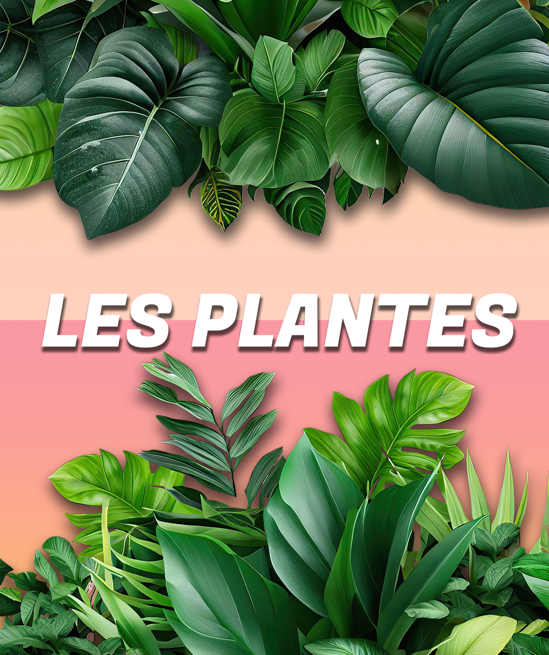 Plantes