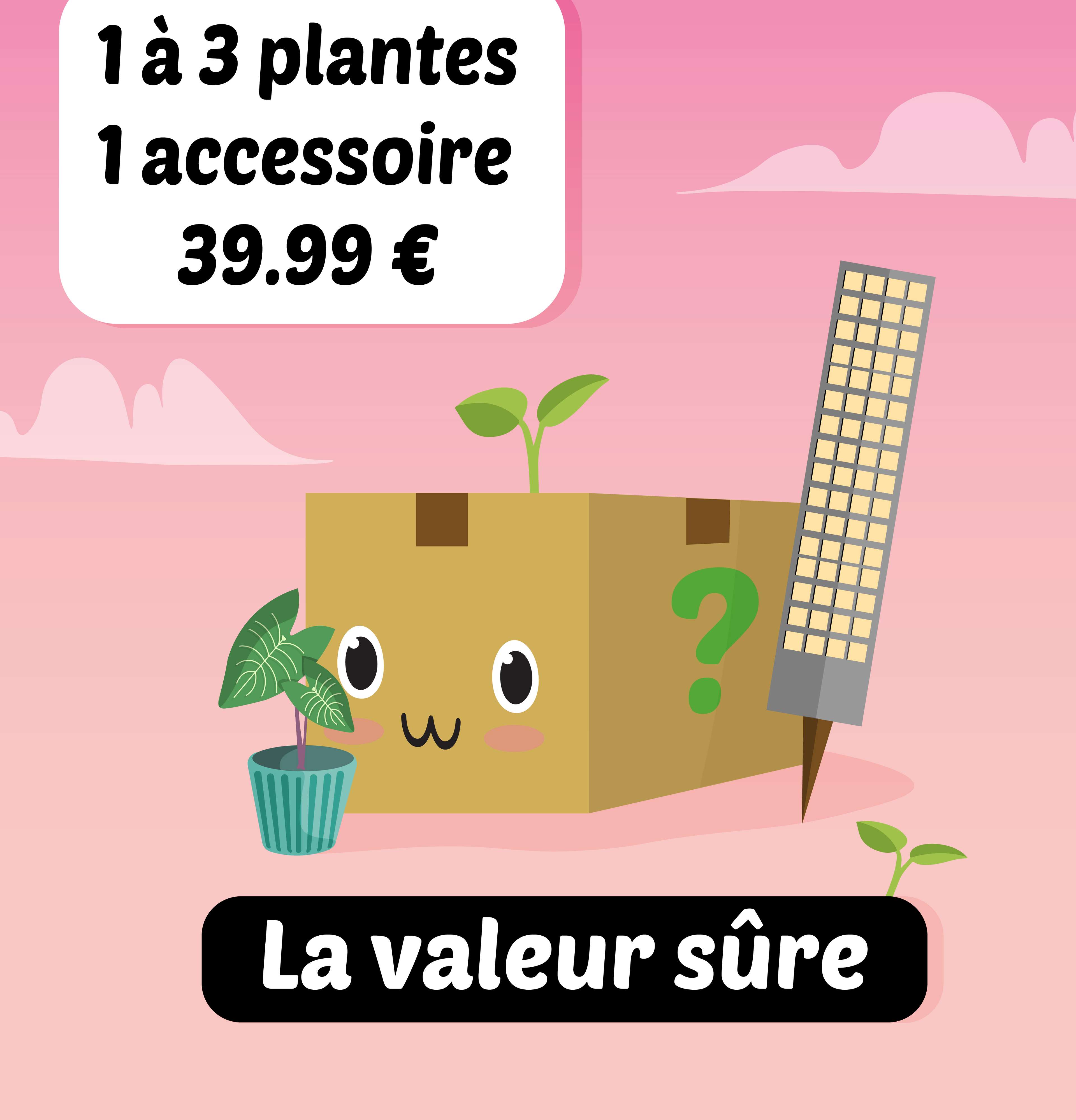 Boites mystère août
