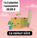 Boites mystère août