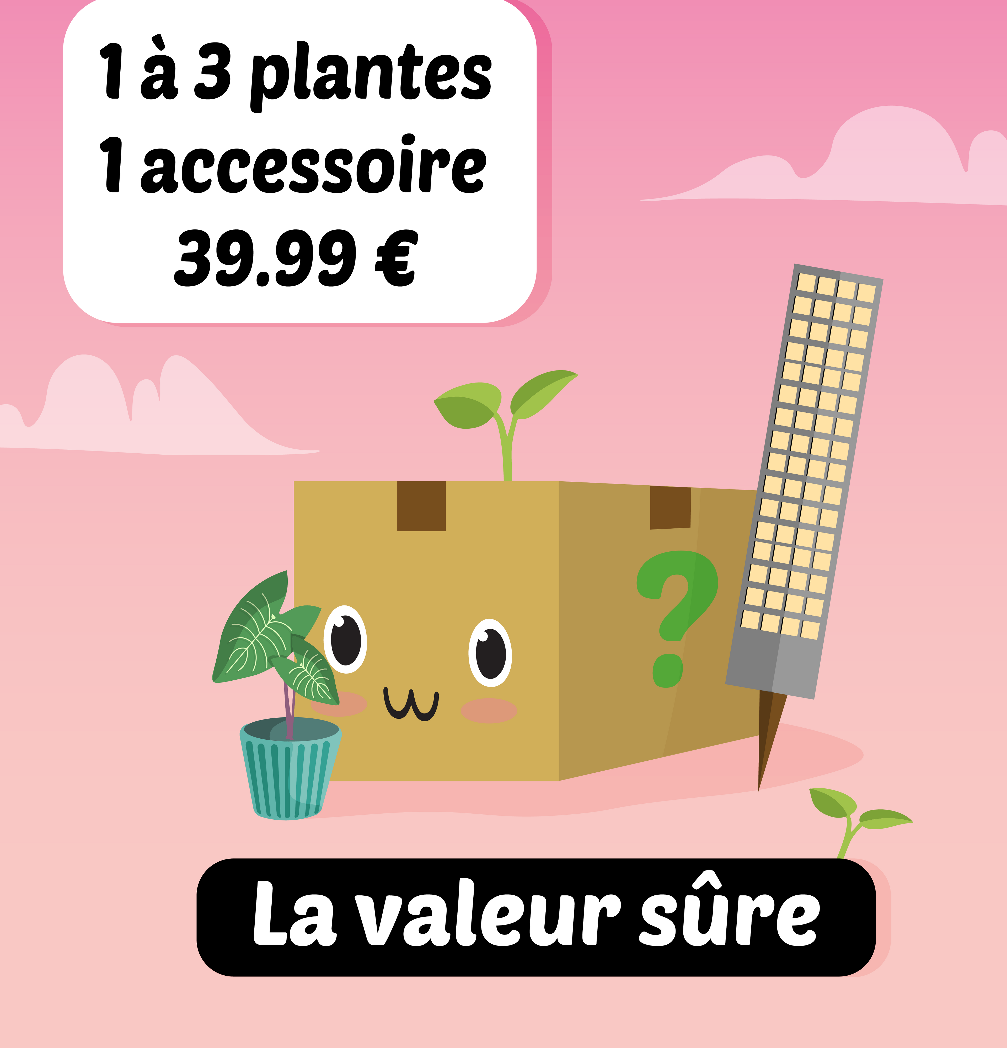 Boites mystère août
