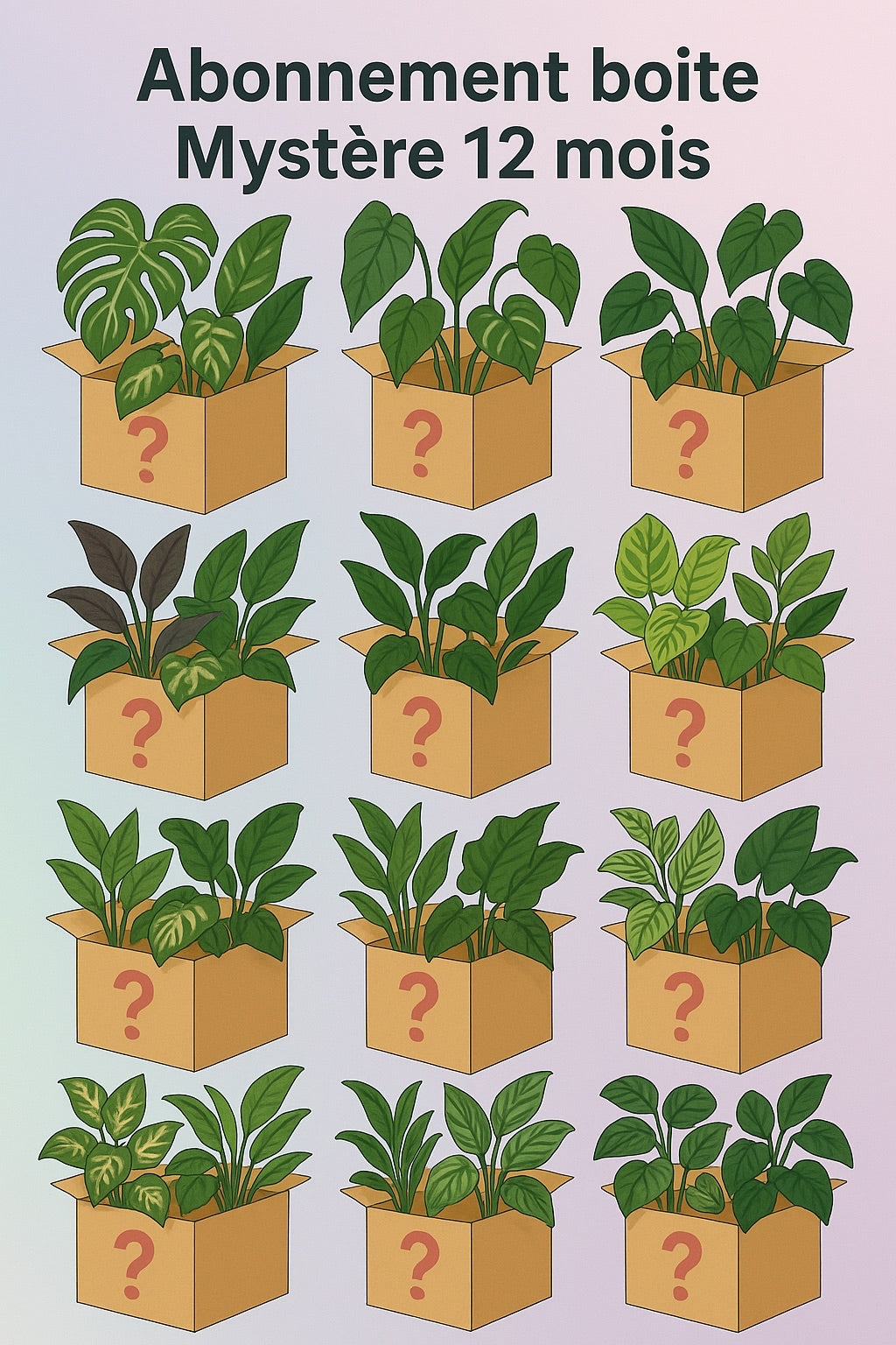 Abonnement Boite mystère plante 12 MOIS