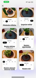 Réserver momo insta 4