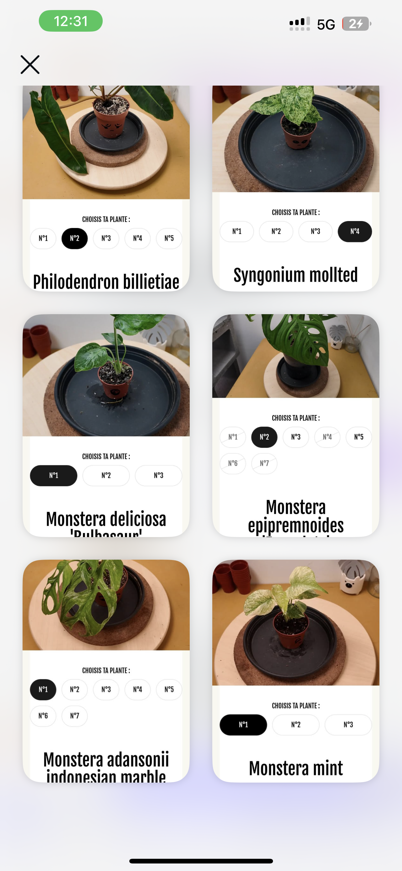 Réserver momo insta 4