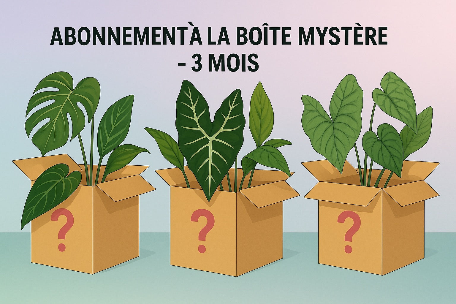 Abonnement Boite mystère plante 3 MOIS