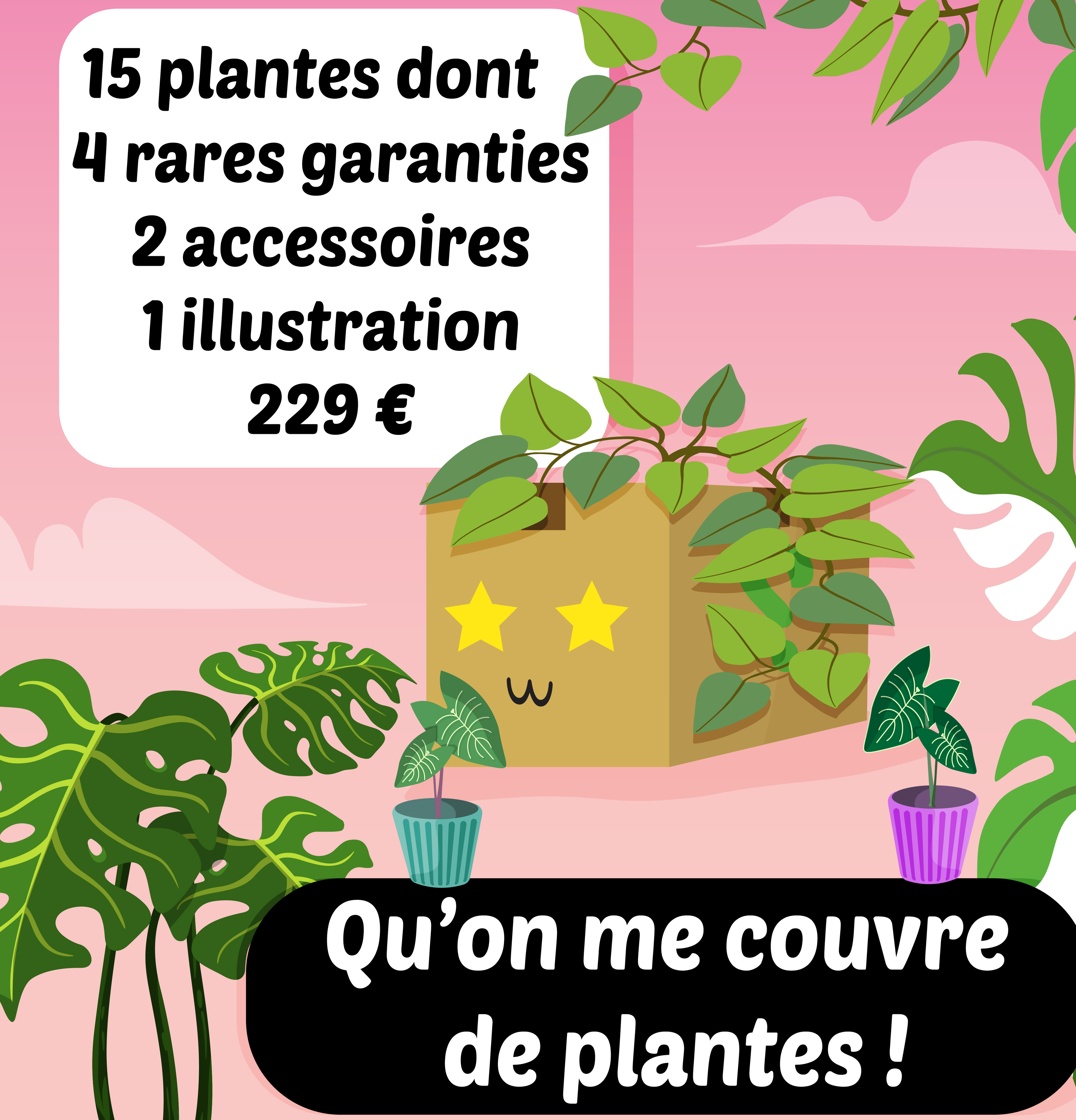Boites mystère août