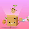 Boite mystère plantes rares