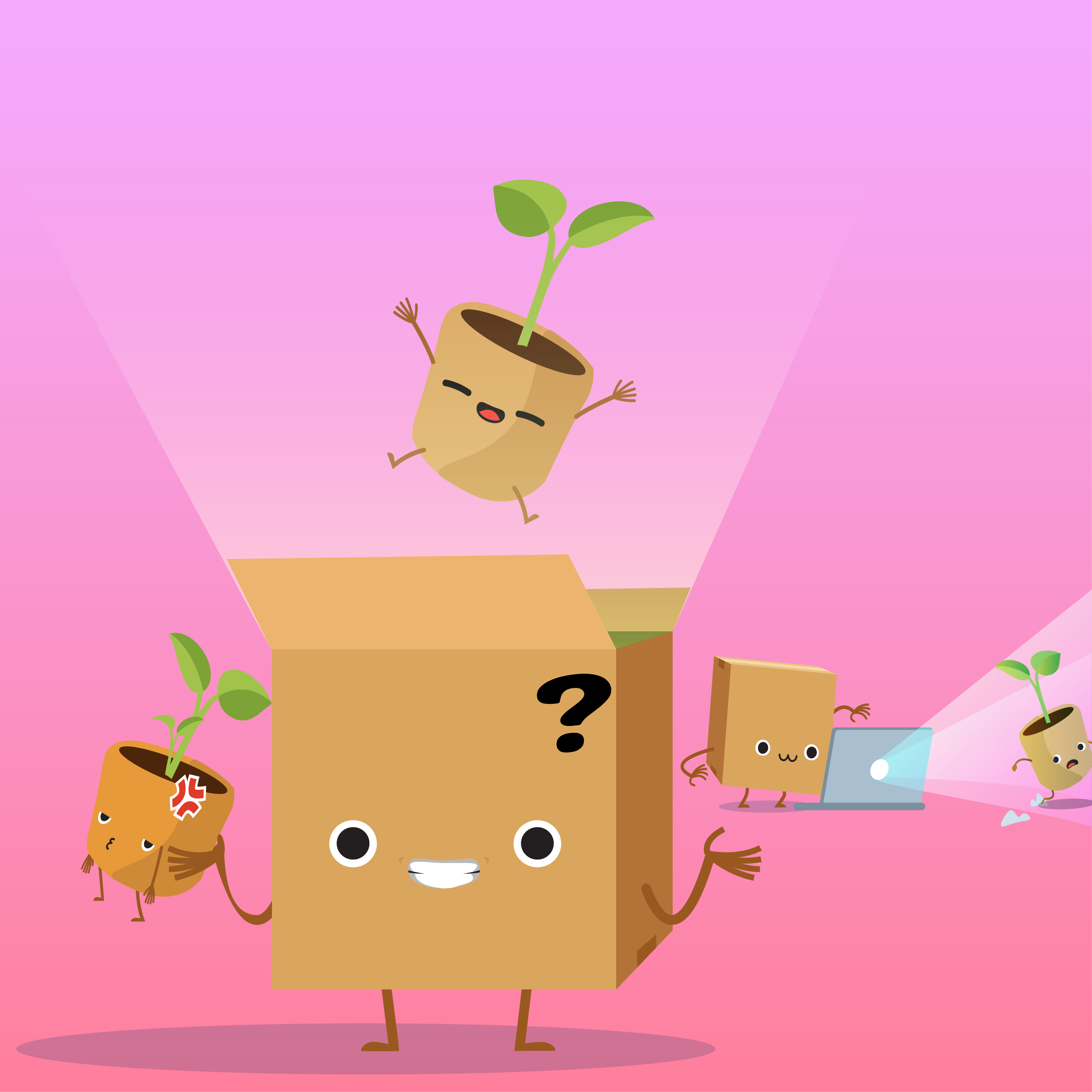 Boite mystère plantes rares