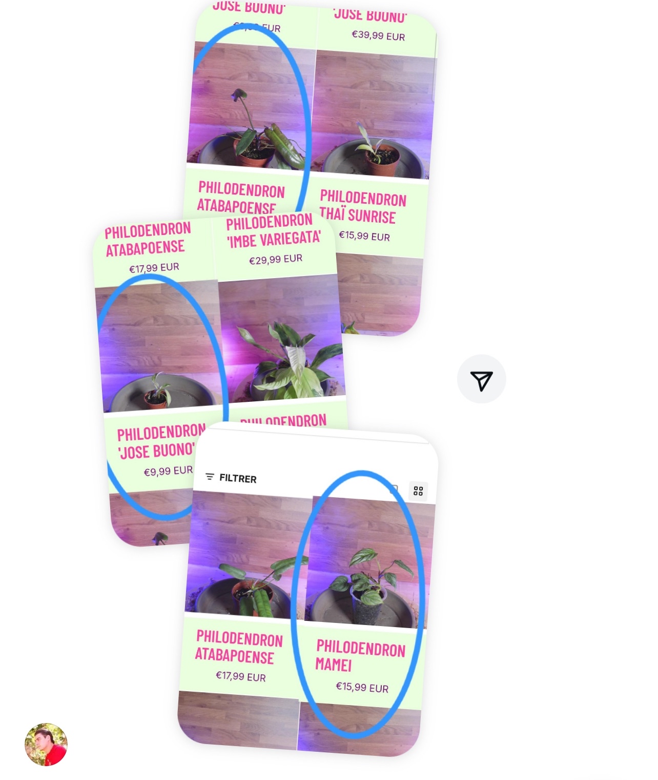 insta memo lot plantes 3