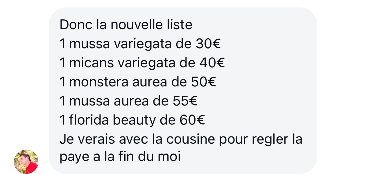 insta memo lot plantes 3