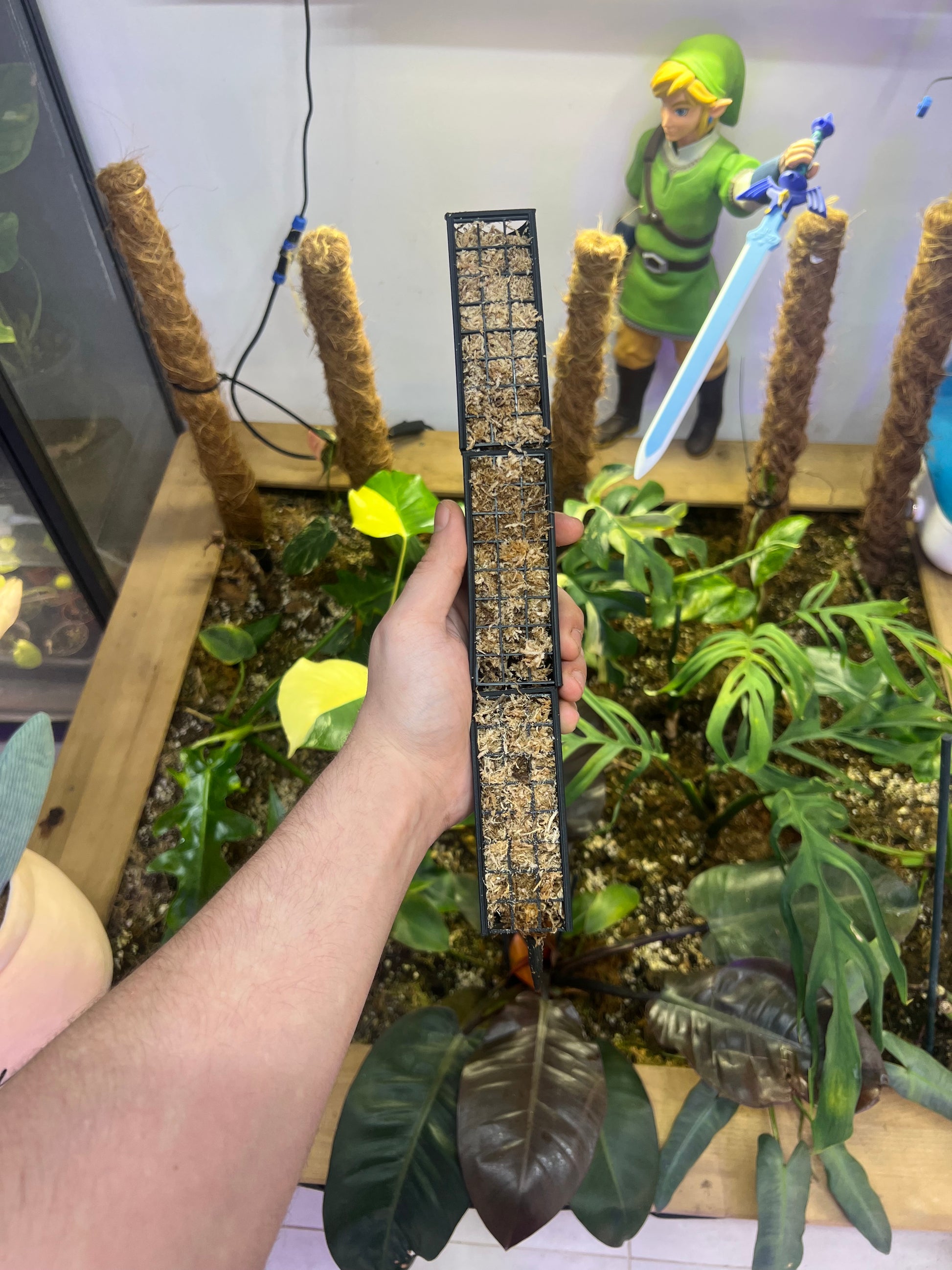 MINI TUTEUR SPHAIGNE