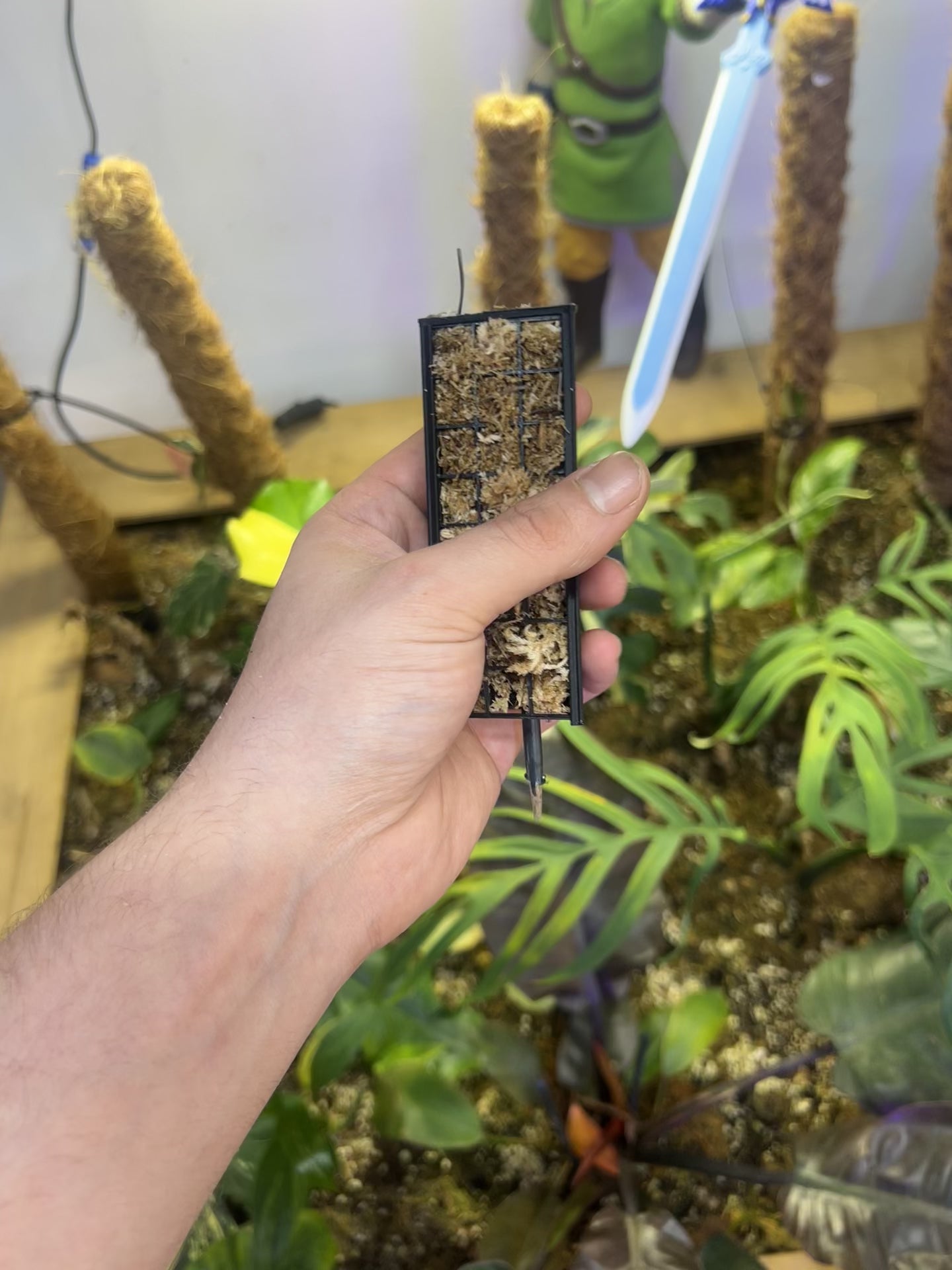 MINI TUTEUR SPHAIGNE